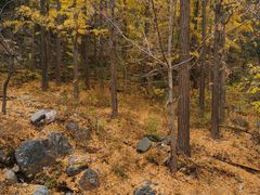 -阳台山自然风景区