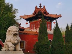 -大槐树寻根祭祖园