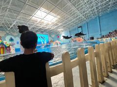 -蓬莱欧乐堡海洋极地世界