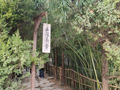 -洛阳白马寺