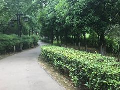 -西安汉城湖景区