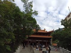 -深圳仙湖植物园