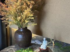 -觀芷隐轩