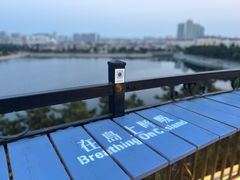 -莫内艺术岛海景咖啡