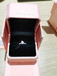 -Zbird钻石小鸟·钻戒婚戒定制高端珠宝私人定制中心