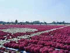 -中国天府农业博览园