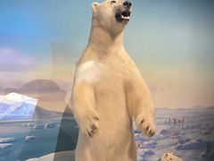 -陕西自然博物馆