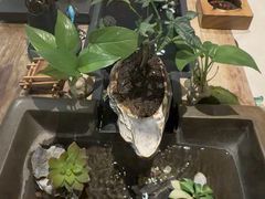 -东方菩提养生SPA馆(武昌总店)