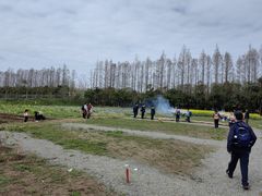 -上海长兴岛郊野公园