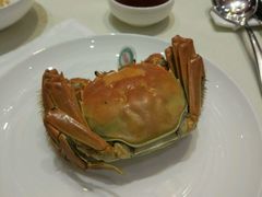 -樱苑(四川北路店)
