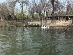 -河北省园博园