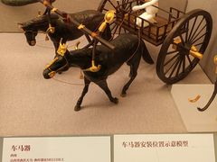 -北京大学赛克勒考古与艺术博物馆
