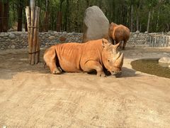 -北京野生动物园