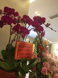 -海豚湾高端月子会所(黄浦店)