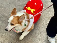 -佛山京华广场MALL