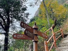 -金子山原生态旅游风景区