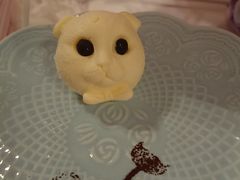 -三花喵·撸猫购宠·宠物生活馆(虹桥南丰城店)