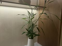-守田肩颈·推拿SPA(颐豪旗舰店)