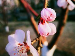 -天津东丽湖风景区