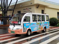 -上海长兴岛郊野公园