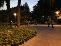 -光明港公园