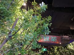 -绿茶餐厅(乐峰广场店)