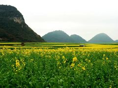 -牛街螺丝田
