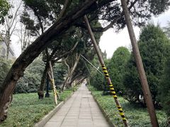 -成都武侯祠博物馆