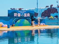 -秦皇岛乐岛海洋王国