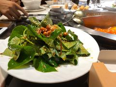 凉拌折耳根-三只耳火锅(宽窄巷子店)