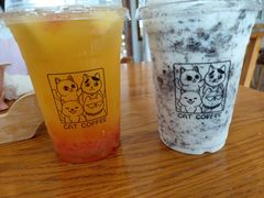 奥利奥星辰-猫小主咖啡·猫咖cat cafe(福田店)