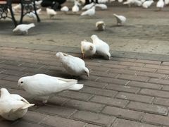 -王府井奥莱临潼小镇(临潼店)