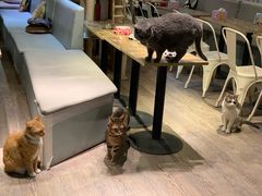 -小时光咖啡馆(开森度假森林店)