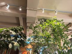 -慢丽江·云南野生菌土鸡锅(付家庄店)