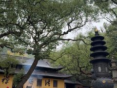 -普陀山风景名胜区-法雨禅寺