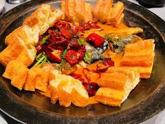 -柿合缘新京菜(国金中心商场店)
