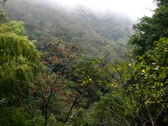 -藏龙百瀑风景区