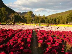 -百里山水画廊乌龙峡谷