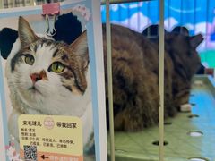 -鑫嘉汇购物中心
