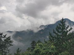 -老界岭旅游度假区
