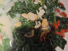 -金苑酒家·客家菜·广东老字号(万象店)