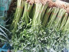 -江杨农产品批发市场