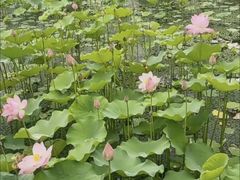 -湘湖大院(越王路店)