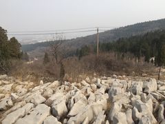 -原山国家森林公园