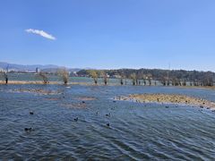 -洱海月湿地公园