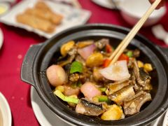 啫啫黄鳝煲-北园酒家(小北路店)