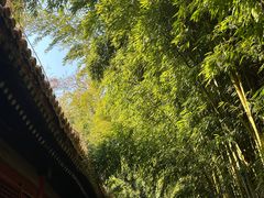 -潭柘寺景区