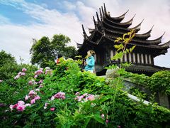 -韩湘水博园
