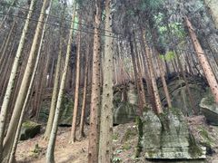 -山王坪喀斯特国家生态公园
