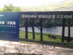 -天鹅湖生态旅游风景区